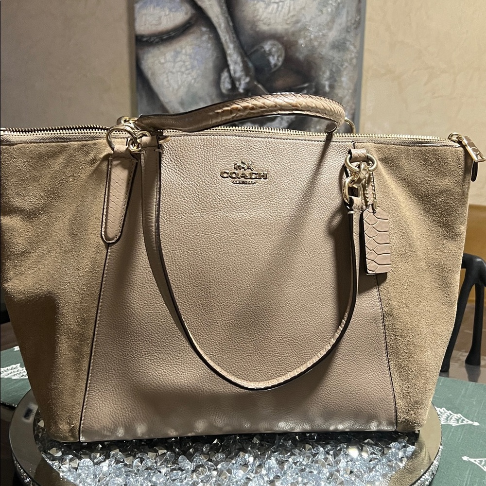 COACH Exotic Trim Suede Ava Tote Bag In Stone - Picture 4 of 17